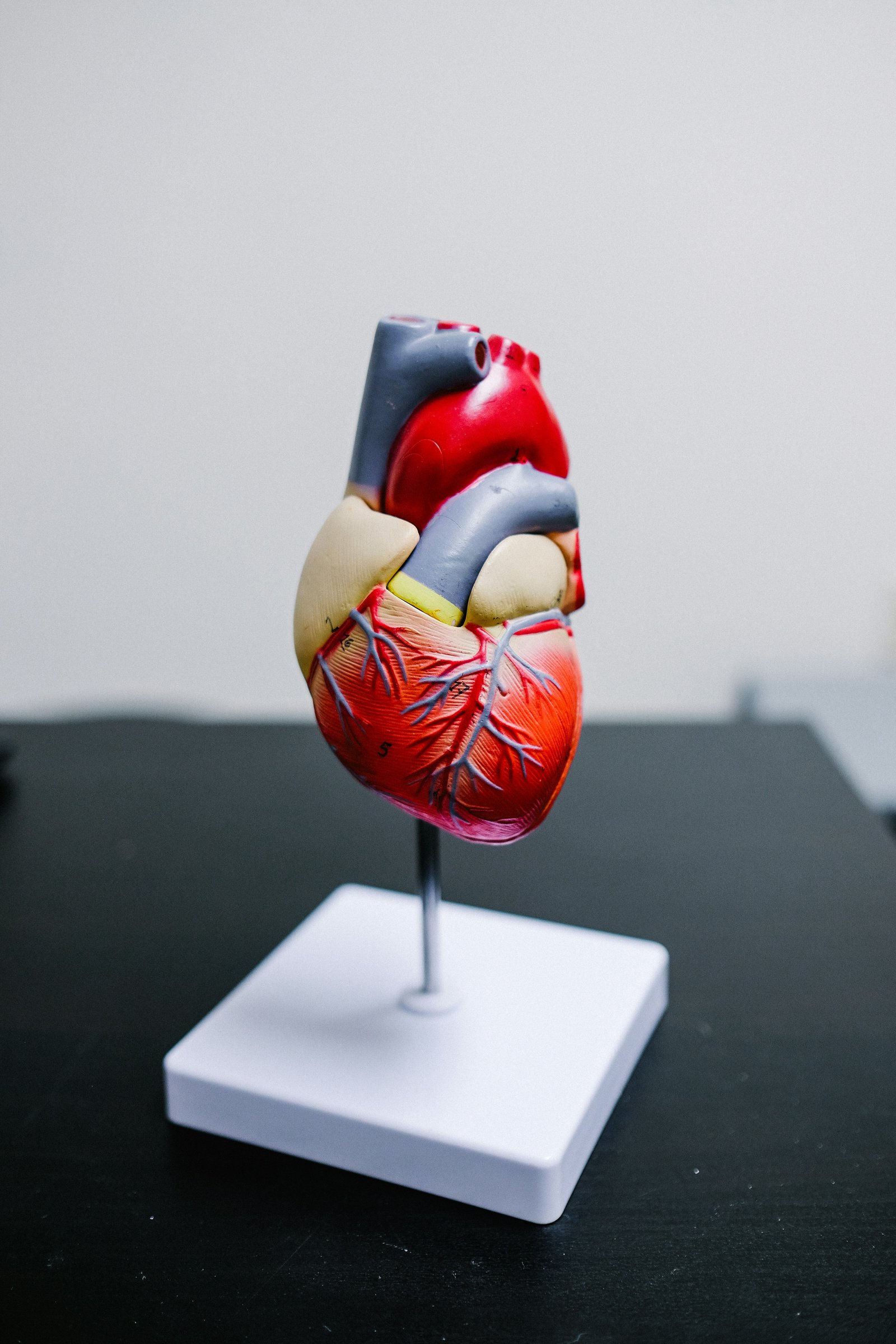 Cardiology